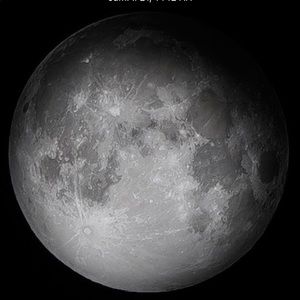 Meet your Posher, Haitham